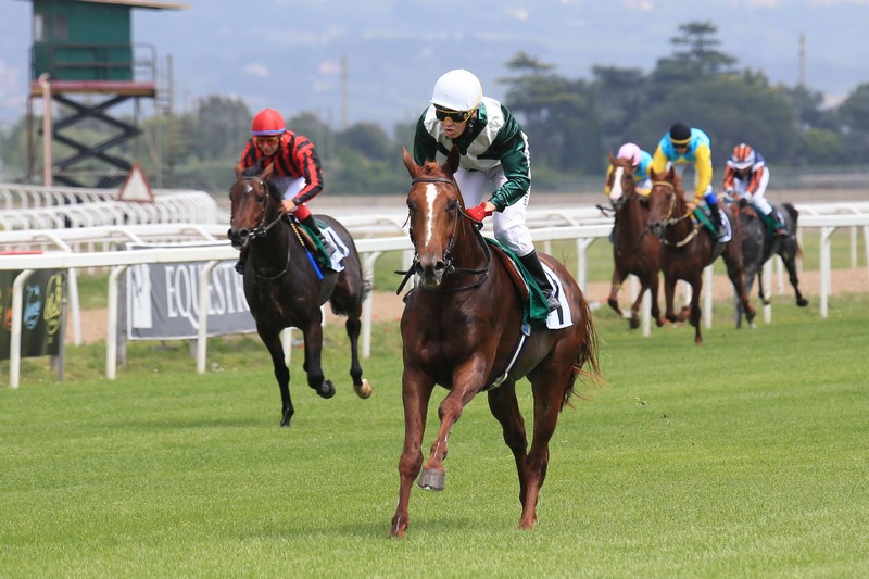 Ziyadd wins Listed Zayed Cup at Capanelle Race Course